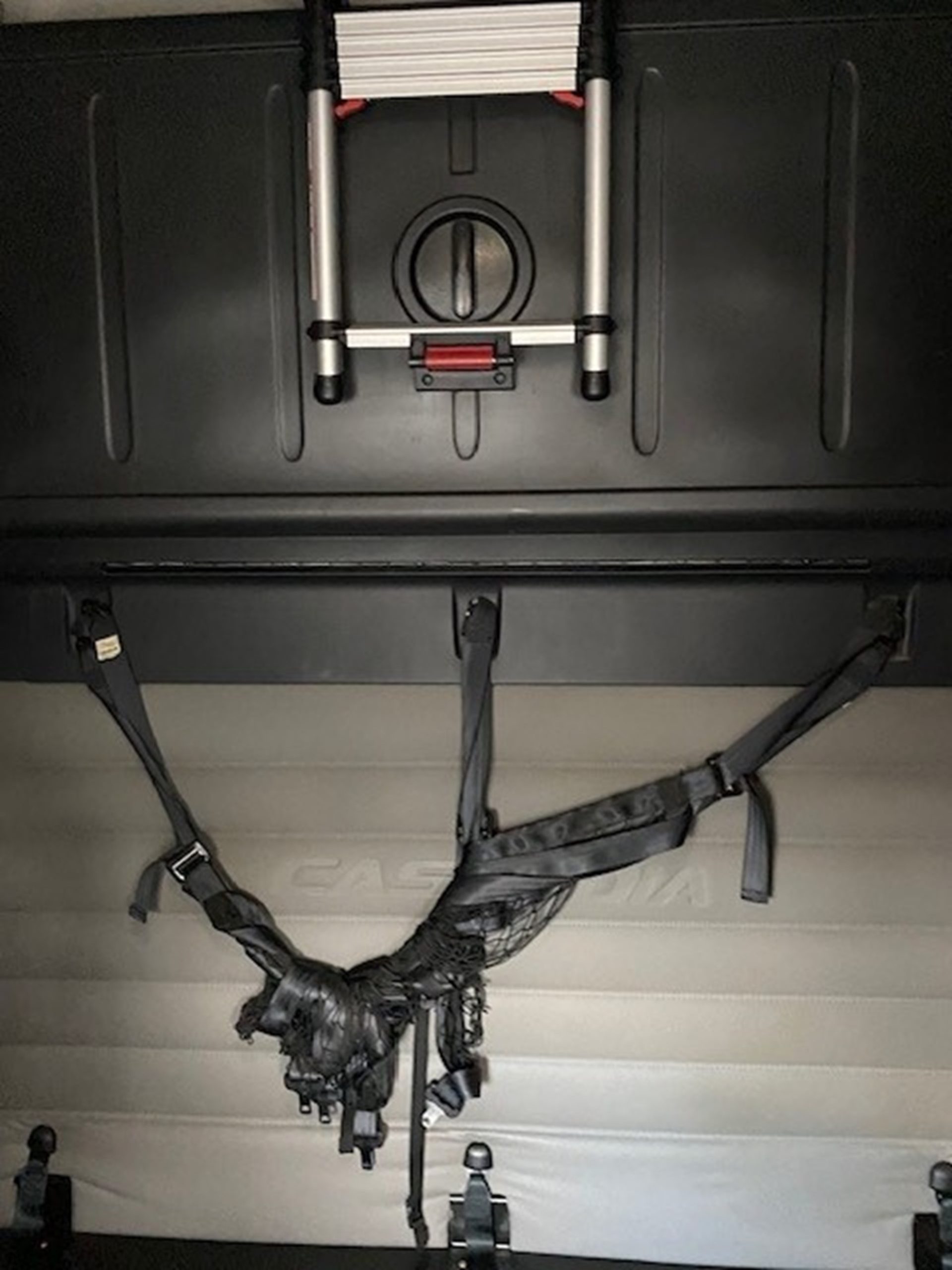 2020 Freightliner Cascadia 126 1764945214118 2020 Freightliner Cascadia 126 1764945214118