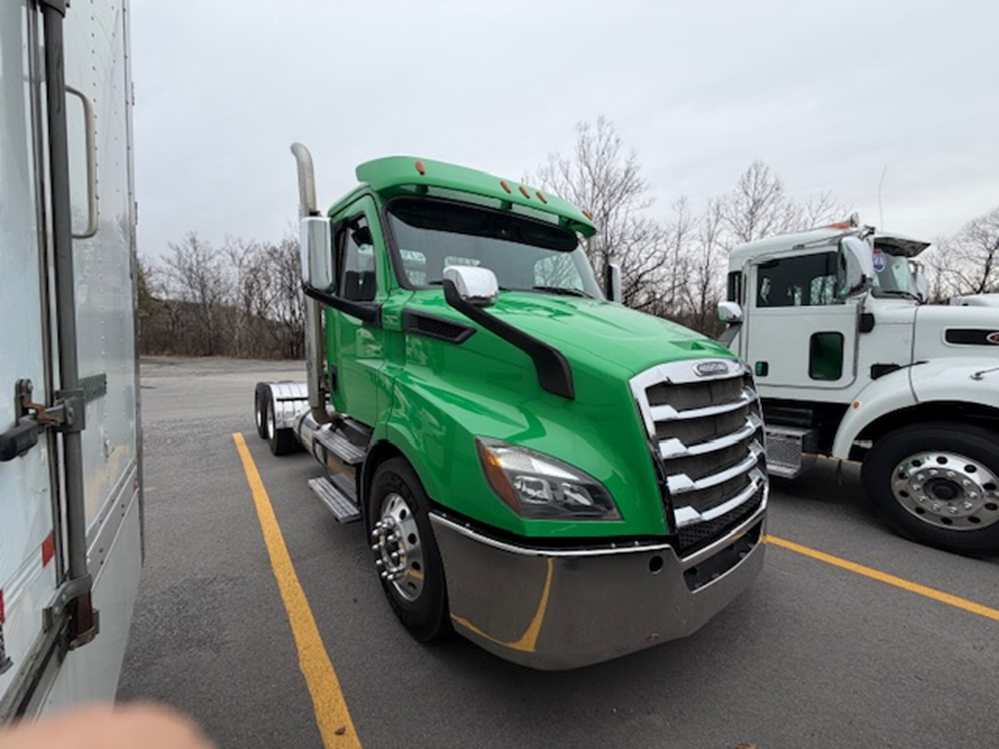 2019 Freightliner Cascadia 116 2019 Freightliner Cascadia 116 - image 2 of 6