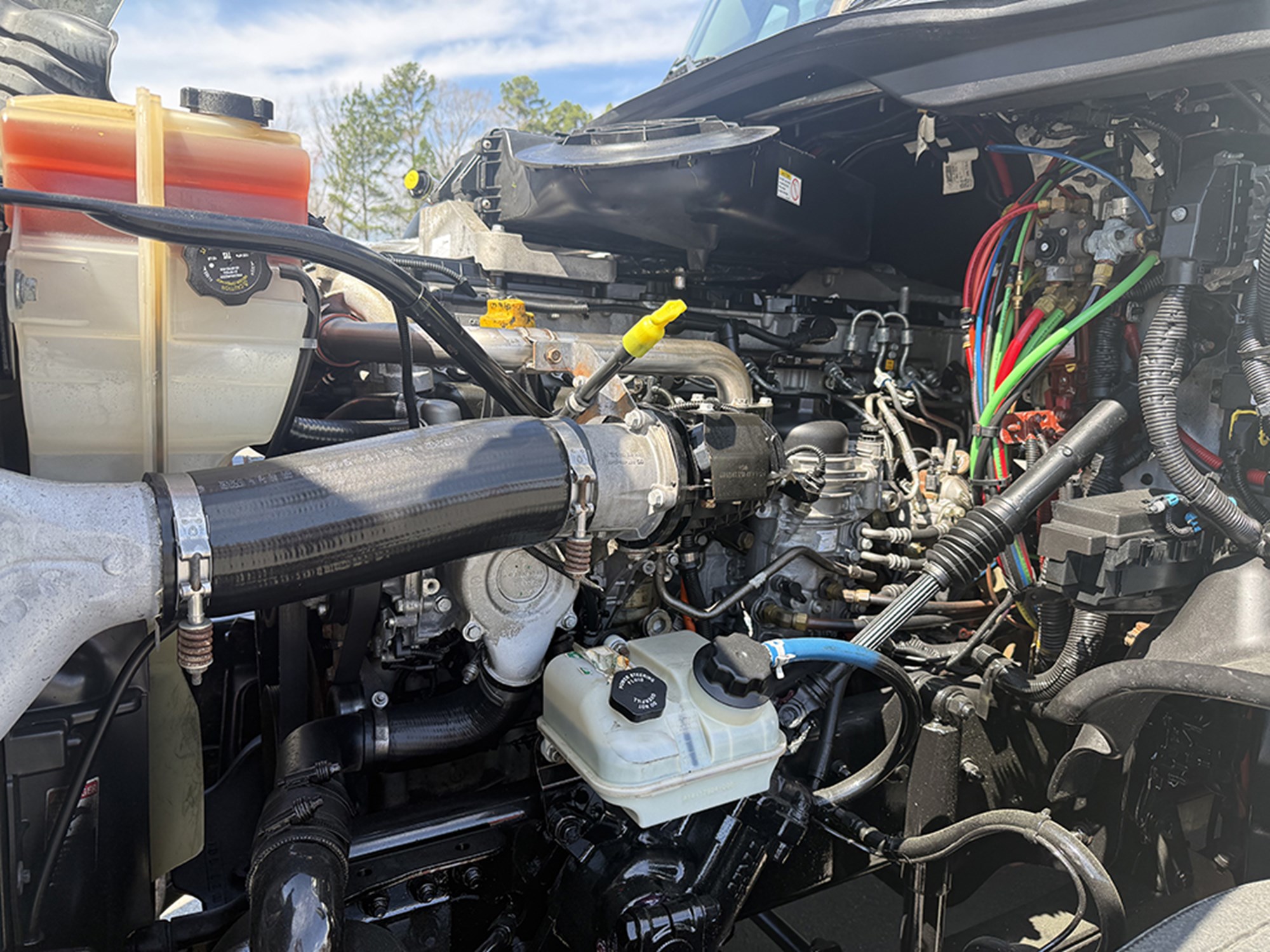 2019 Freightliner Cascadia 125 1773951907016 2019 Freightliner Cascadia 125 1773951907016